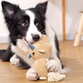 Miniatyrbillede 5 af 5: Store legetøj til hunde, sødt pivelegetøj til hunde, plysdyr til kæledyr