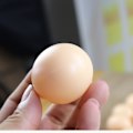 Miniatyrbilde 2 av 5: 5 stk Fake Egg Kunstig Høne Fjærkre Coop Plastic Nest Praktisk