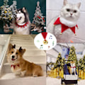 Miniatyrbillede 2 af 5: (Størrelse-M, 5 klokker) Julehalsbånd til kæledyr Justerbart tørklæde Kat og hund