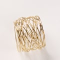 Miniatyrbilde 2 av 5: Metallnett Serviettringer Sett, Jul, Thanksgiving Dekorasjon f