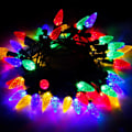 Miniatyrbillede 5 af 5: Jordbær lyskæde, 50 LED 5M LED jordbær lyskæde