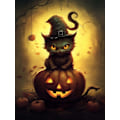 Pikkukuva 1 / 5: 30x40cm DIY Halloween timanttimaalaus tarvikkeet, Ghost Cat 5D