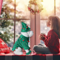 Miniatyrbillede 2 af 5: (S) Julekostumer til kæledyr, julefest hatte til søde hunde
