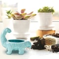 Miniatyrbild 3 av 5: Söta dinosaurie keramiska blomkruka suckulent växt blomkruka med