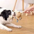Miniatyrbillede 4 af 5: Store legetøj til hunde, sødt pivelegetøj til hunde, plysdyr til kæledyr