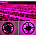 Miniatyrbillede 4 af 5: LED-systemlys, vækstlys, smart vandtæt grøntsagslys, 1