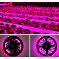 Miniatyrbillede 5 af 5: LED-system vandtæt lys, vækstlys, smart vandtæt vegetab