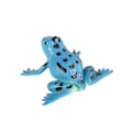 Miniatyrbilde 5 av 5: 12 fargerike plastfrosker modell ornamenter sett simulering frosk min