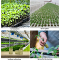 Miniatyrbilde 5 av 5: 50 stk Hydroponiske Rockwool Cube Block Plugger Rockwools Voksende