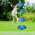 Miniatyrbild 4 av 5: Röd husdjur leksak frisbee boll, hund leksak, hund leksak, hund leksak, frisbee boll