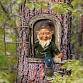 Pikkukuva 5 / 5: Elf Out the Door Tree Hugger, Polyresin Garden Gnome Statue,Whims