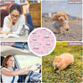 Miniatyrbillede 2 af 3: 1 Rund Kæledyr Kølepude (Pink Rabbit), Kæledyr Is Pu