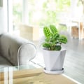 Miniatyrbillede 4 af 5: 2 stk. Havepotter til haven, Plastik Blomsterpotter, Nordisk stil, I