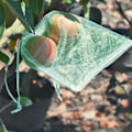 Miniatyrbilde 2 av 5: Druesekk, 50 stk fruktbeskyttelsespose, pustende organza