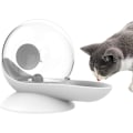 Miniatyrbillede 1 af 5: Automatisk vanddispenser til hunde og katte, snegleform, tyngdekraft kæledyr