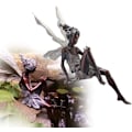 Miniatyrbillede 2 af 5: Dekorativ statuette, fe-statue, fe-have statue fe-orn