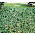 Miniatyrbillede 4 af 4: Digitalt camouflage rektangulært skygge sejl camouflage design, camo