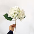 Miniatyrbillede 1 af 4: Kunstig hortensia, hvid hortensia buket, brugt til bryllup,