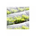Miniatyrbillede 4 af 5: 2m×10m Transparent Plastfolie Have Polyethylen Dække til