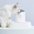 Miniatyrbilde 4 av 5: 10 PetSafe filter Vannfontenesett