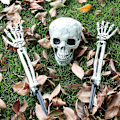 Pikkukuva 3 / 3: Halloween-koristelu, kallo ja käden luut, simuloitu kallorekvisiitta