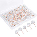 Miniatyrbillede 1 af 5: 100 stk. Rose Gold Transparent Trykknapper Verdens Korktavle Trykknapper