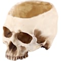 Miniatyrbillede 1 af 5: Harpiks Kranie Blomsterpot Kranie Vase Harpiks Hoved Model Halloween Del