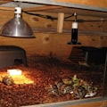 Miniatyrbillede 2 af 5: 3 stk. keramisk krybdyr varmelampe E27 køler