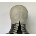 Miniatyrbillede 2 af 3: Kraniumhovedmaske Halloween Blast Simulation Biokemisk Krise Ske