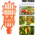 Miniatyrbillede 3 af 5: 2 stk. frugtplukningskurve Jujube plukkere frugtplukningsstang Frui