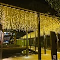Miniatyrbillede 2 af 4: Varmt hvid 5 * 0,8 meter - stikversion + hale stik, LED-farve