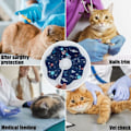 Miniatyrbild 3 av 5: Blå Krage för Katt Anti-Bite Skydd Justerbar Krage