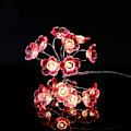 Miniatyrbild 2 av 5: LED Sakura-lampor, körsbärsblomsträng, girlangblomsterlampor,