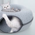 Miniatyrbillede 2 af 5: Stor kattetunnel seng katte legetunnel seng kattetunnel seng holdbar R