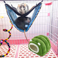 Miniatyrbild 3 av 5: Vinterhus för hamster, husdjur, mysig och varm säng lämplig för små