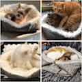 Miniatyrbillede 5 af 5: Katte- og hundeseng, 2 i 1 dobbelt formål blød og komfortabel katteseng