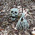 Pikkukuva 2 / 3: Halloween-koristelu, kallo ja käden luut, simuloitu kallorekvisiitta