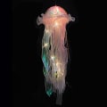 Miniatyrbilde 2 av 5: Jellyfish Pendellampe - DIY Jellyfish Hengelampe - Bærbar Mo