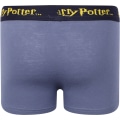 Miniatyrbillede 2 af 6: 2-pak boxershorts Harry Potter Grey 110/116