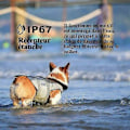 Miniatyrbillede 4 af 5: Meloive Genopladelig og IP67 Vandtæt Hundetræningshalsbånd med 800m Rækkevidde, 99 Niveauer af Vibration, Elektrisk Stød, Lydtilstand