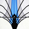 Pikkukuva 5 / 9: Stunt Kite 1,2m Leija C C C C
