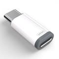 (hona) till USB-C (hane) adapter
