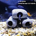 Miniatyrbilde 2 av 4: Akvariumssteiner for fisk å leke, hvile og formere seg, liten keramikk De