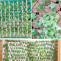 Miniatyrbillede 3 af 5: Kunstig bladhegn, træhave espalier, stræk espalier med blade