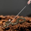 Miniatyrbilde 5 av 8: Utvidbar teleskopisk slangekrypdyrfanger fangstkrokverktøy i rustfritt stål (100 cm)