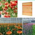 Miniatyrbillede 5 af 6: LED Vækstlys Fuld Spektrum 360 LED'er Smart Indendørs Vækstlys Quantum Board med Krog til Indendørs Plante EU Stik 100‑265V
