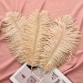 Miniatyrbild 5 av 5: ##/24 stycken 25-30 cm (10-12 tum) naturliga vita strutsfjädrar för##/