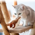 Miniatyrbild 7 av 10: Electronic Interactive Flying Bird – Perfect Toy for Cats