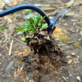 Miniatyrbillede 3 af 5: Multifunktionelt Manuelt Lugeredskab | Haveplantningsværktøj | Sort long Black
