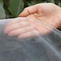 Miniatyrbilde 2 av 4: Finmasket Insektbeskyttelsesnett For Hage, Drivhus, Planter, Frukt, Blomster